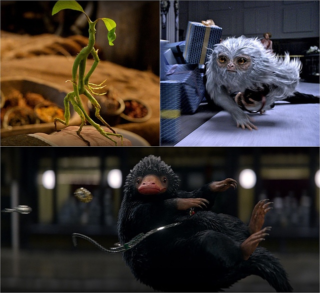 【電影心得】怪獸與牠們的產地 Fantastic Beasts and Where to Find Them。怪獸與牠們的產地影評/怪獸與牠們的產地心得/怪獸與牠們的產地評論/怪獸與牠們的產地評價/JK羅琳2016電影 @J&A的旅行 【電影心得】怪獸與牠們的產地 Fantastic Beasts and Where to Find Them。怪獸與牠們的產地影評/怪獸與牠們的產地心得/怪獸與牠們的產地評論/怪獸與牠們的產地評價/JK羅琳2016電影